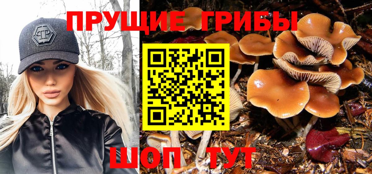 Галлюциногенные грибы ЛСД  Вход с VPN  Зеленодольск  Галлюциногенные грибы Psilocybine cubensis 